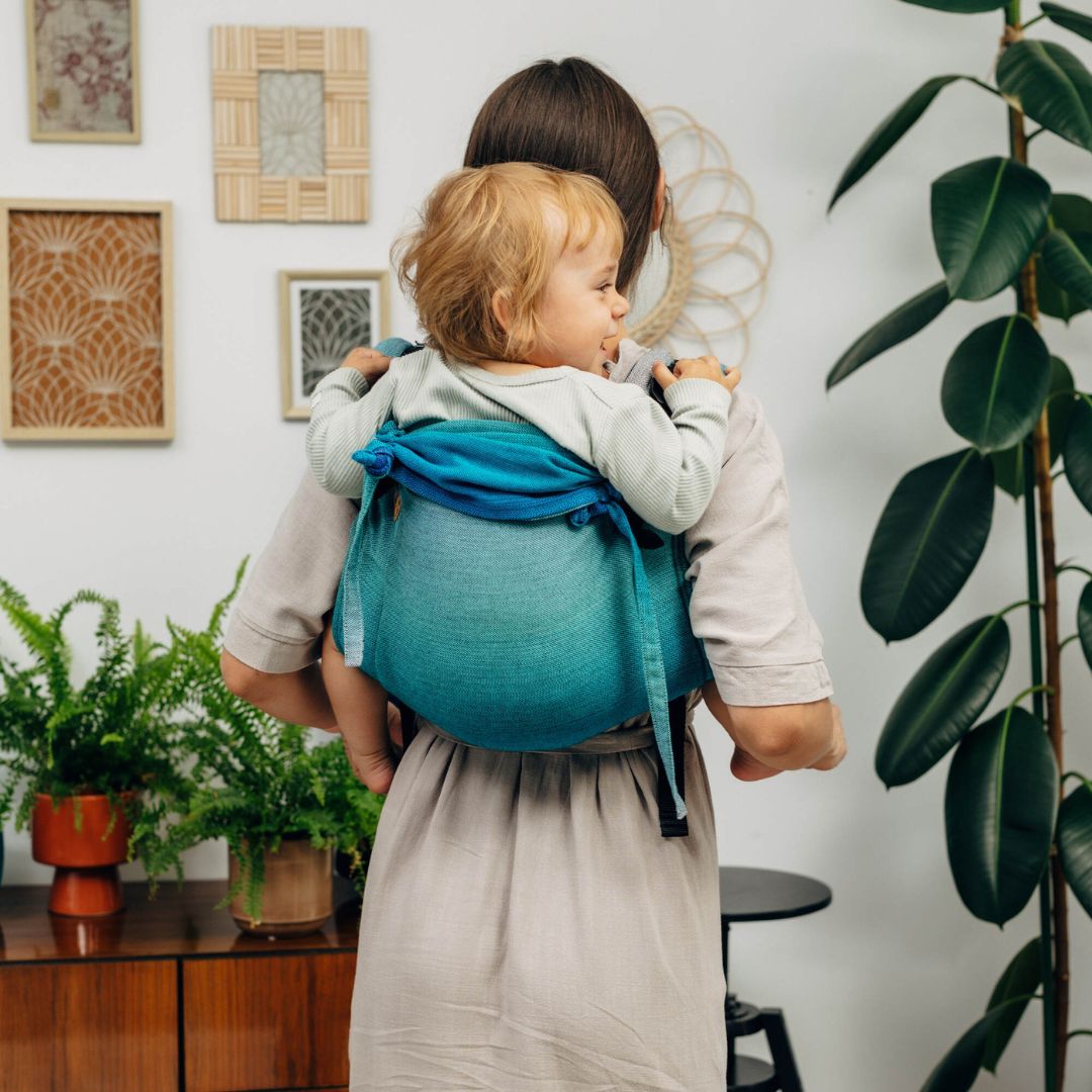 LennyLamb Onbuhimo - Adjustable Back Carrier - Cloth and Carry