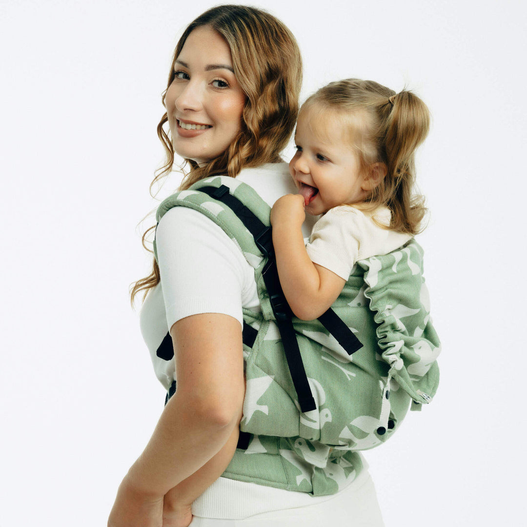 LennyLamb - LennyPreschool Carrier - Birdy - Fly High (Cotton/Lyocell) * Ships in 2 - 3 weeks * - Cloth and Carry