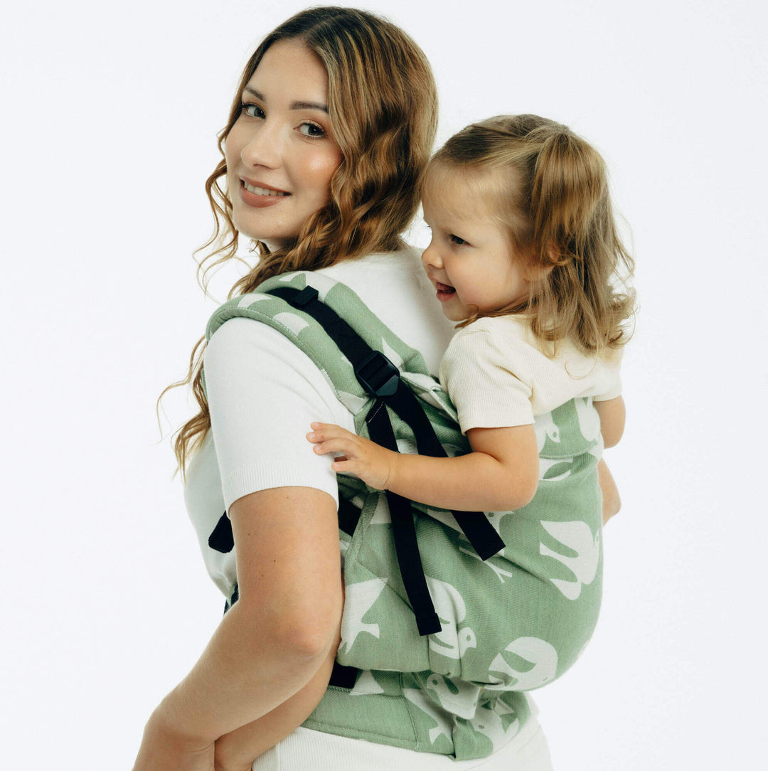 LennyLamb - LennyPreschool Carrier - Birdy - Fly High (Cotton/Lyocell) * Ships in 2 - 3 weeks * - Cloth and Carry