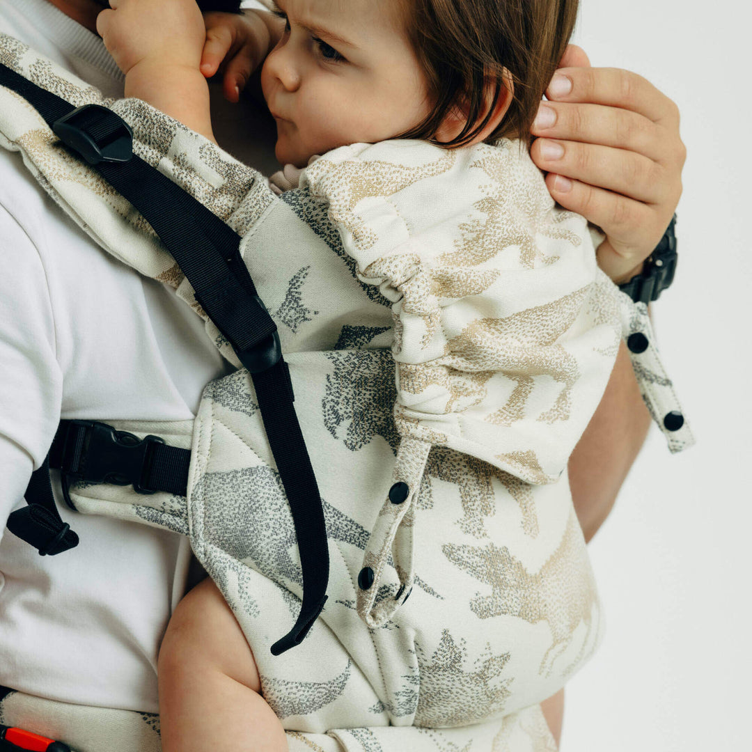 LennyLamb - LennyUpGrade PRO Baby Carrier - Jurassic Park - Ice Desert - Cloth and Carry