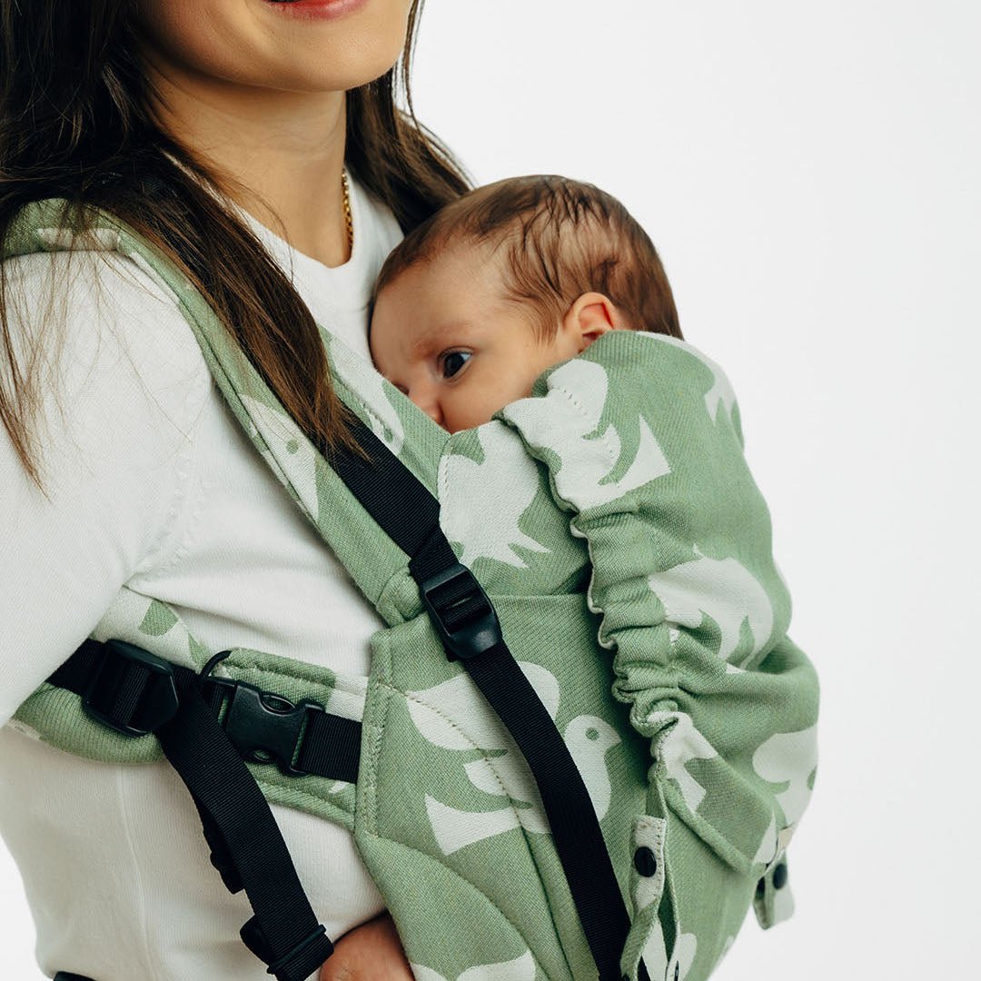 LennyLamb - LennyUpGrade PRO Baby Carrier - Birdy - Fly High - Cloth and Carry
