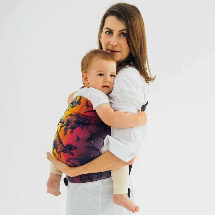 LennyLamb - LennyHip - Adjustable Hip Baby Carrier - Jurassic Park New Era - Cloth and Carry
