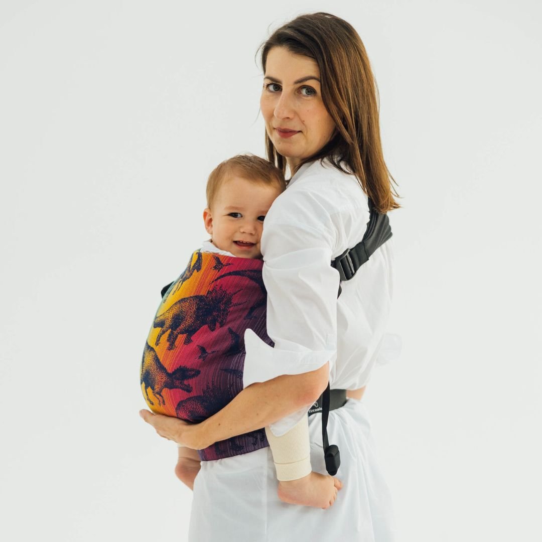 LennyLamb - LennyHip - Adjustable Hip Baby Carrier - Jurassic Park New Era - Cloth and Carry