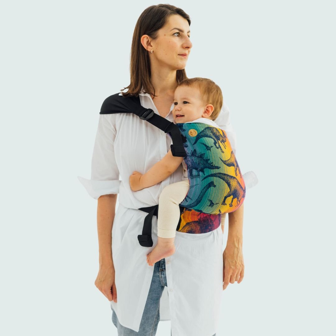 LennyLamb - LennyHip - Adjustable Hip Baby Carrier - Jurassic Park New Era - Cloth and Carry