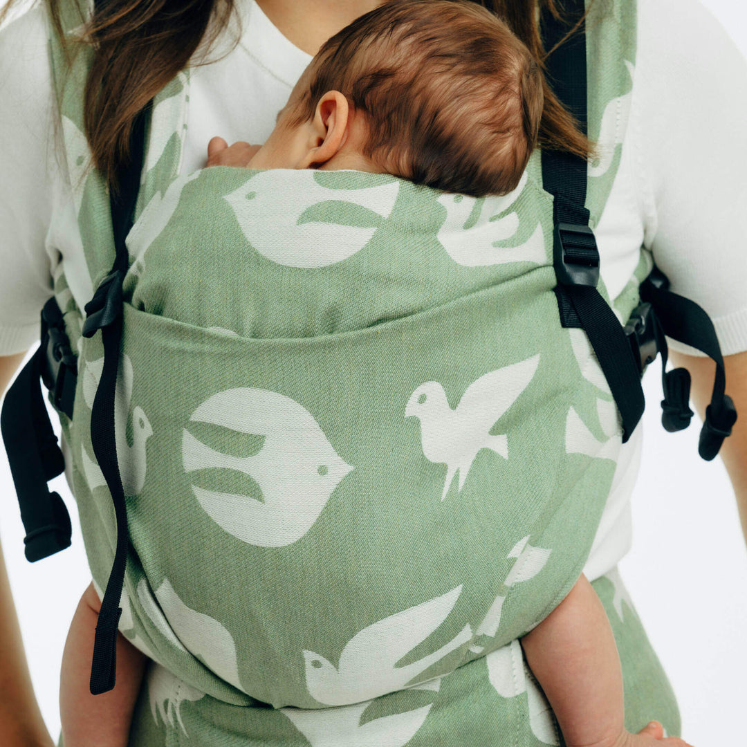 LennyLamb - LennyUpGrade PRO Baby Carrier - Birdy - Fly High - Cloth and Carry