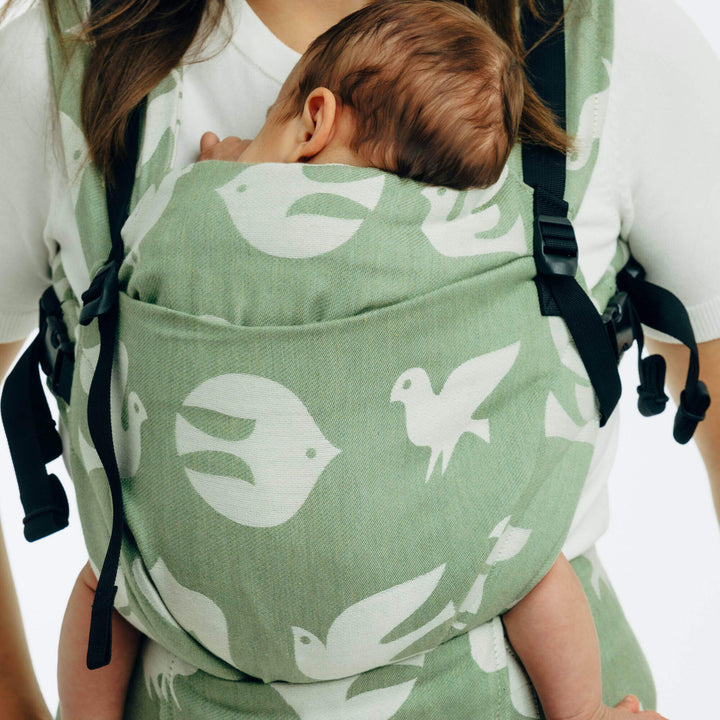 LennyLamb - LennyUpGrade PRO Baby Carrier - Birdy - Fly High - Cloth and Carry