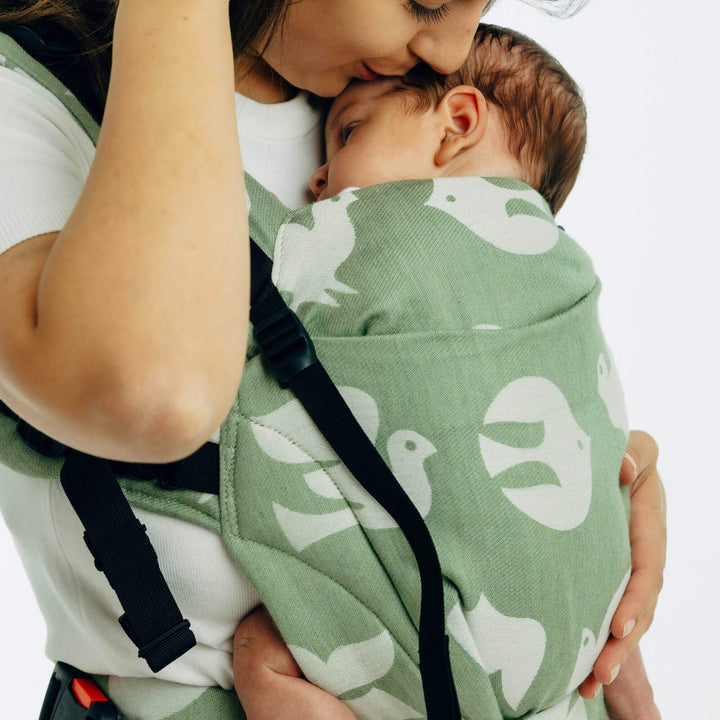 LennyLamb - LennyUpGrade PRO Baby Carrier - Birdy - Fly High - Cloth and Carry