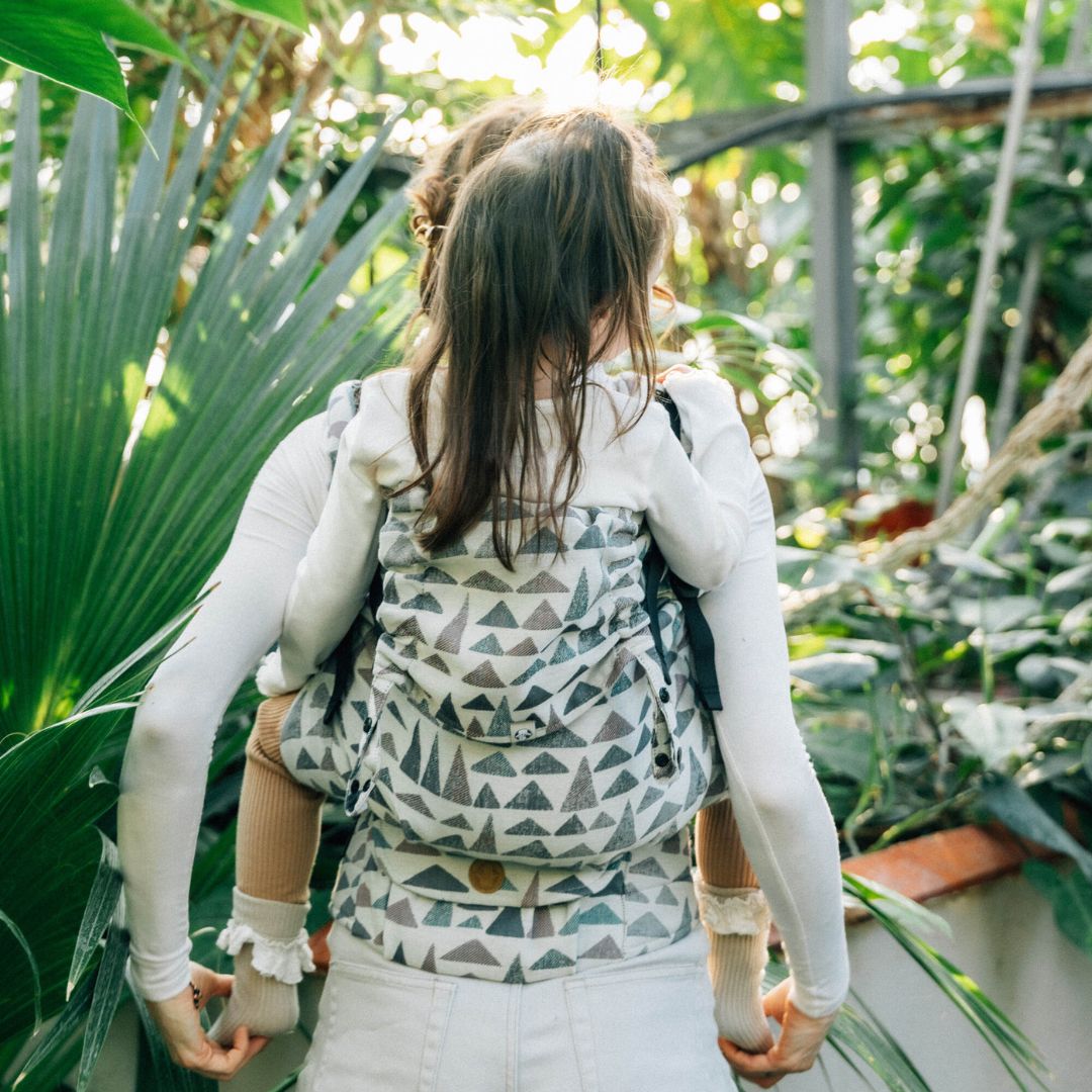 LennyLamb - LennyPreschool Carrier - Eagle Rocks - Hike (77% Cotton, 23% Lyocell) - Cloth and Carry