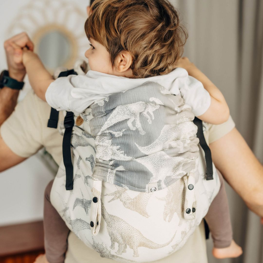 LennyLamb - Try Before You Buy: LennyLight Onbuhimo PRO (Toddler Size) - Cloth and Carry