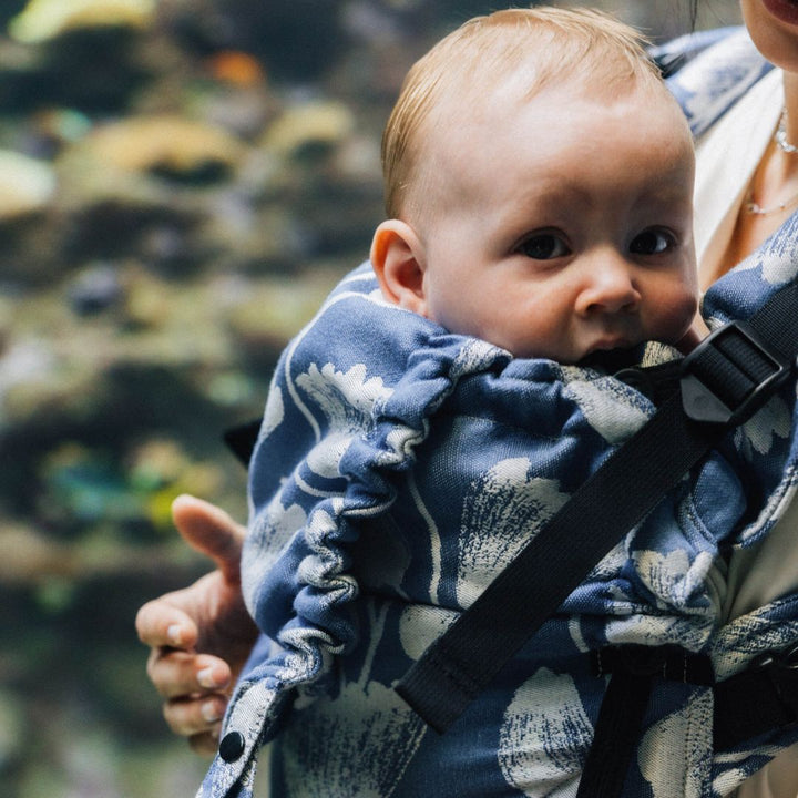 LennyLamb - LennyUpgrade Baby Carrier - Viridiflora Royal Baby - Cloth and Carry