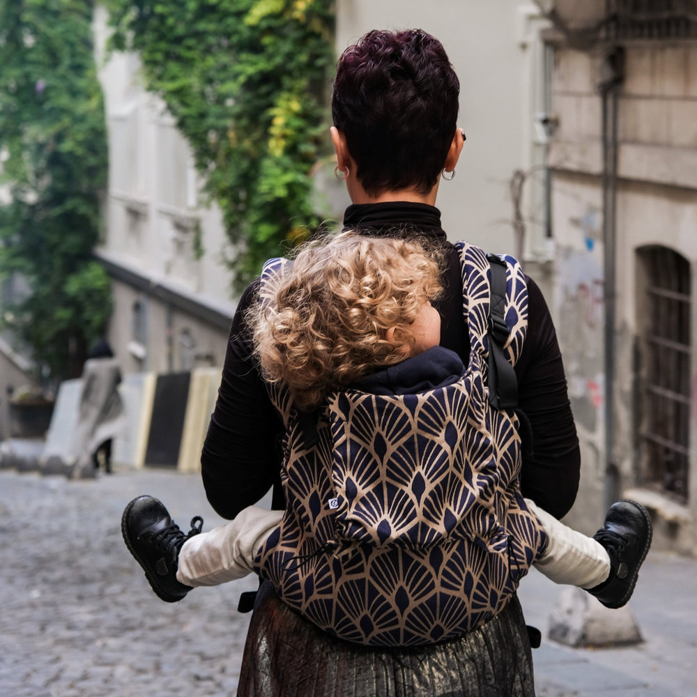 Neko Slings - Neko Slings - Switch Toddler Carrier - Elfida - Cloth and Carry
