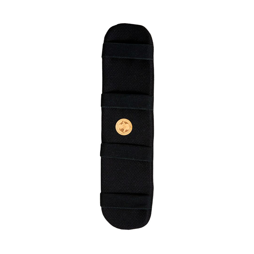 LennyLamb - Baby Carrier Lumbar Support / Belly Band Accessory - Cloth and Carry