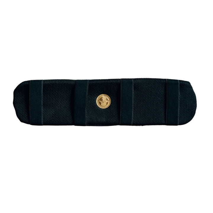 LennyLamb - Baby Carrier Lumbar Support / Belly Band Accessory - Cloth and Carry