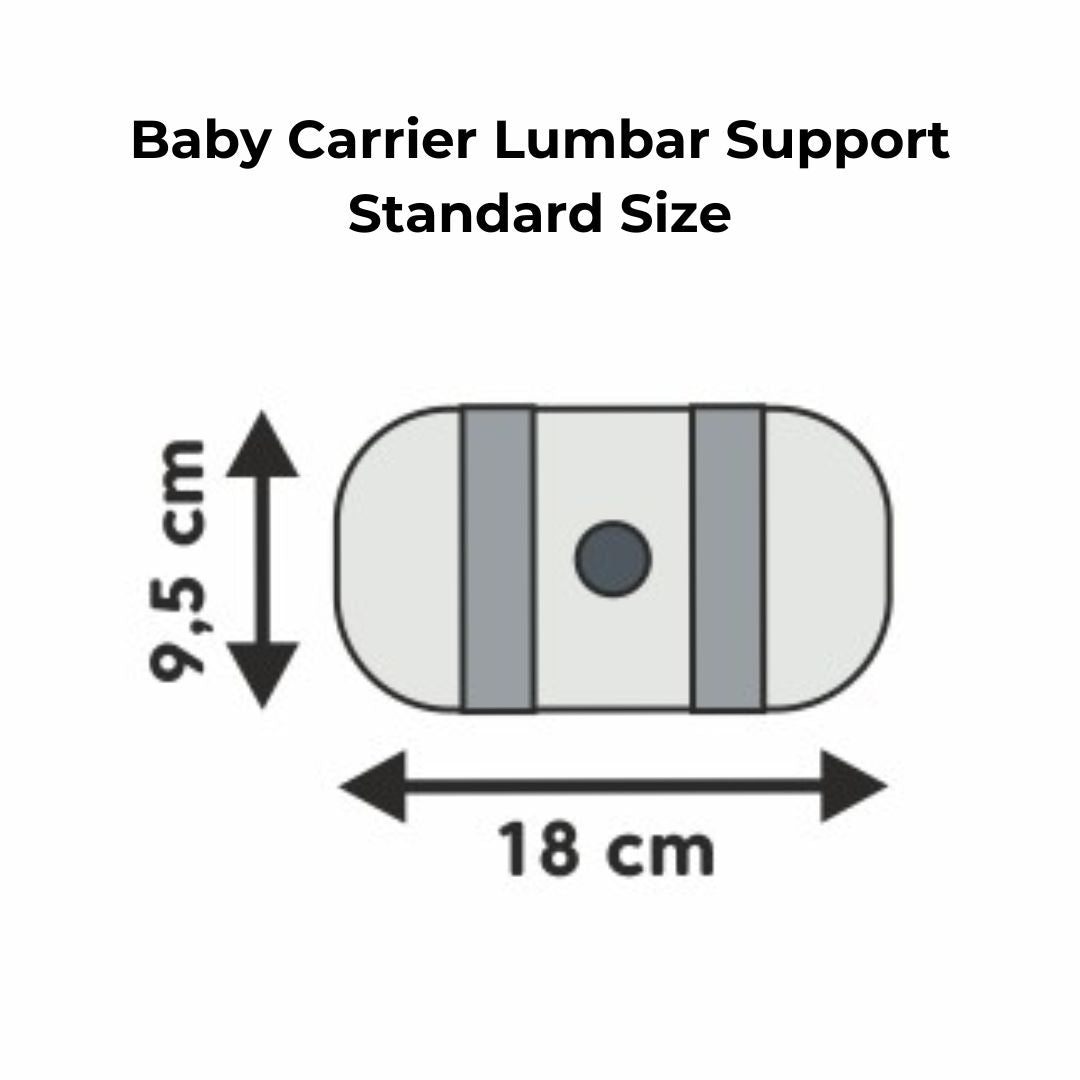 LennyLamb - Baby Carrier Lumbar Support / Belly Band Accessory - Cloth and Carry